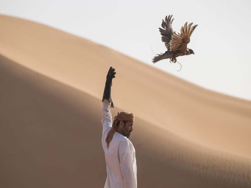 Falconry: an ancient traditional sport